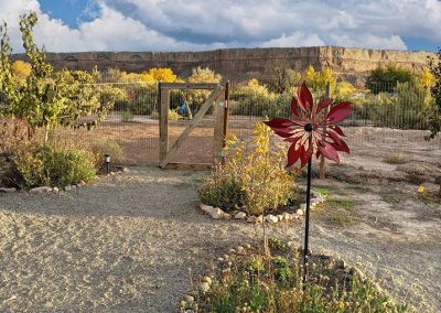 Enclosed Yard & View