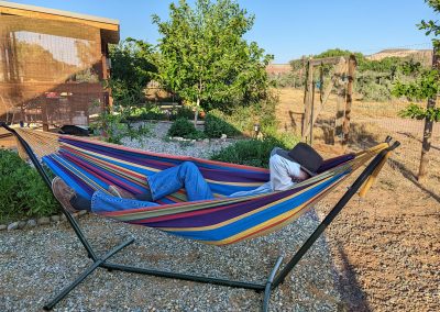 Relaxing in the Yard